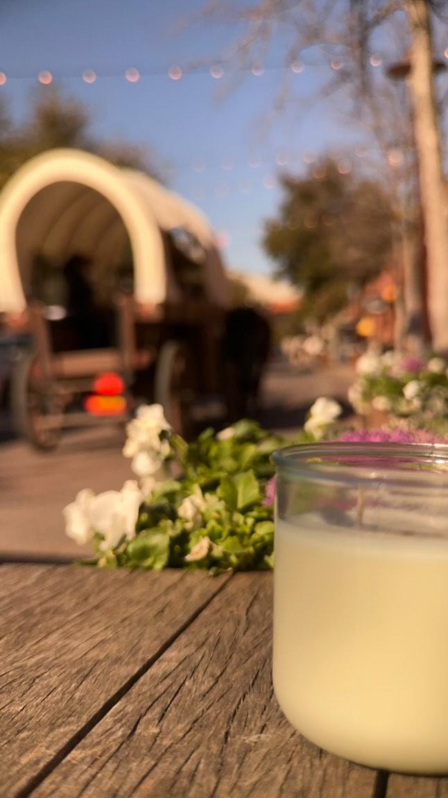 Star Spangled Saddle